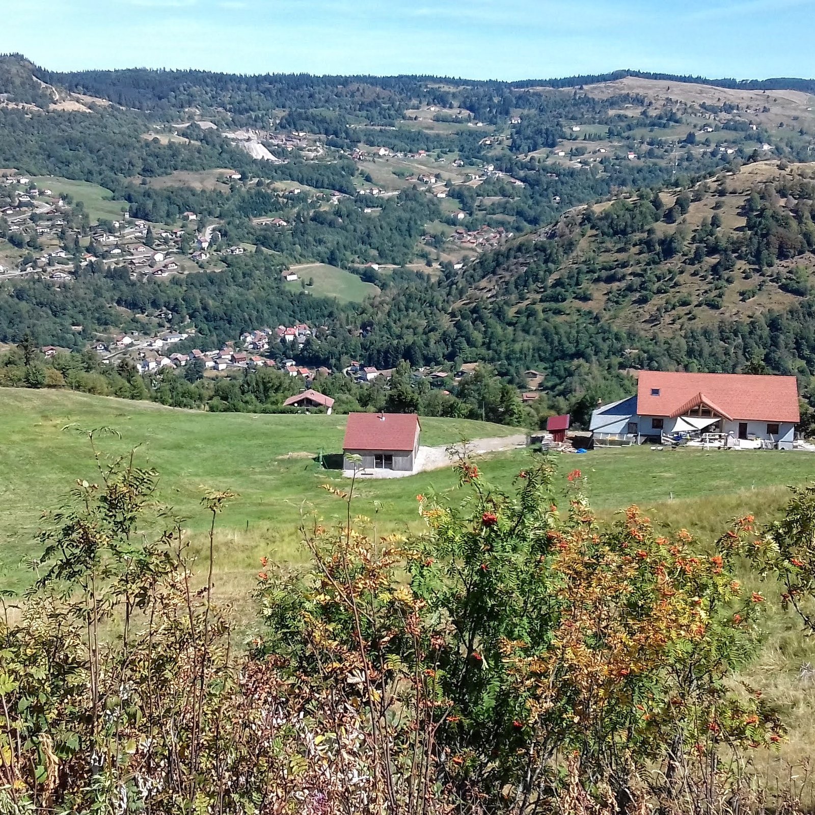 Vue plongeante sur la vallée de La Bresse